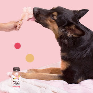 multivitamin popsicle for dogs vitamin water helps joints skin and hair healthy pet 