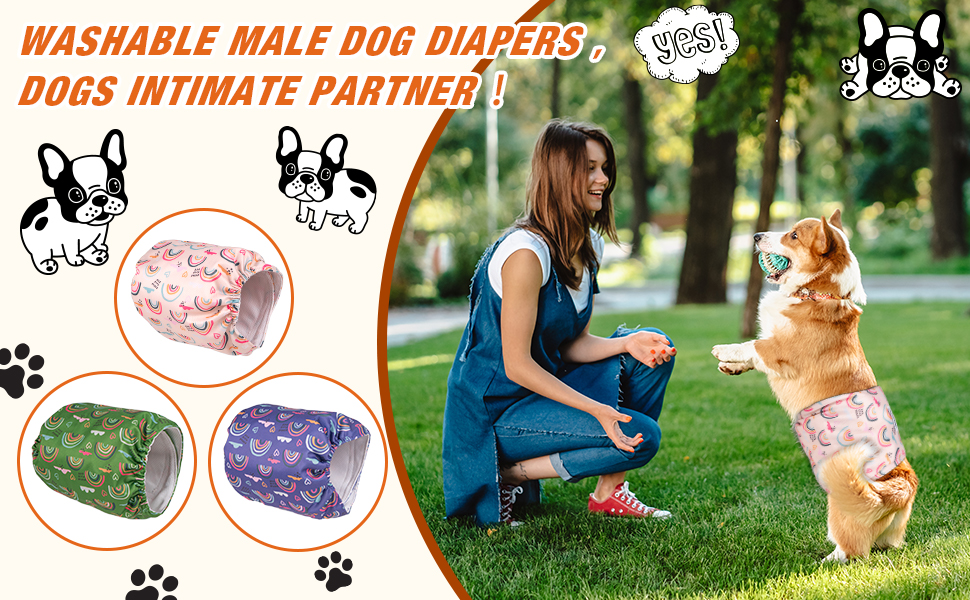 Docuwee Male Washable Dog Diapers (Pack of 3), Reusable
