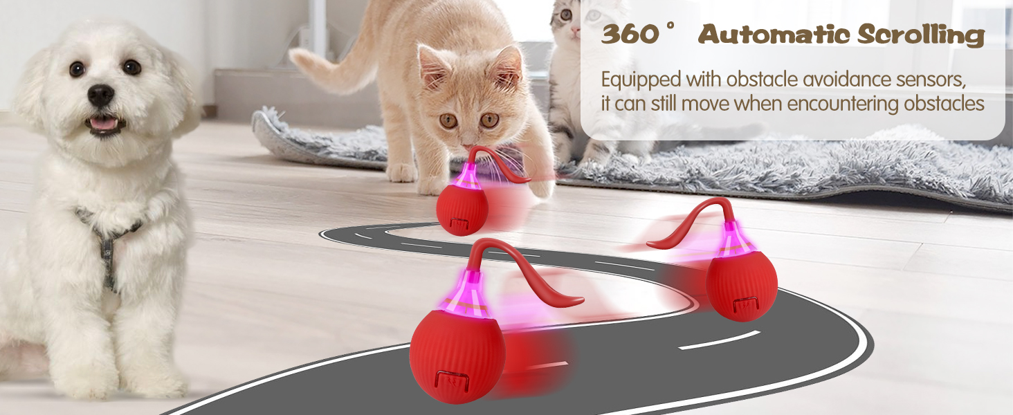Cat Toys