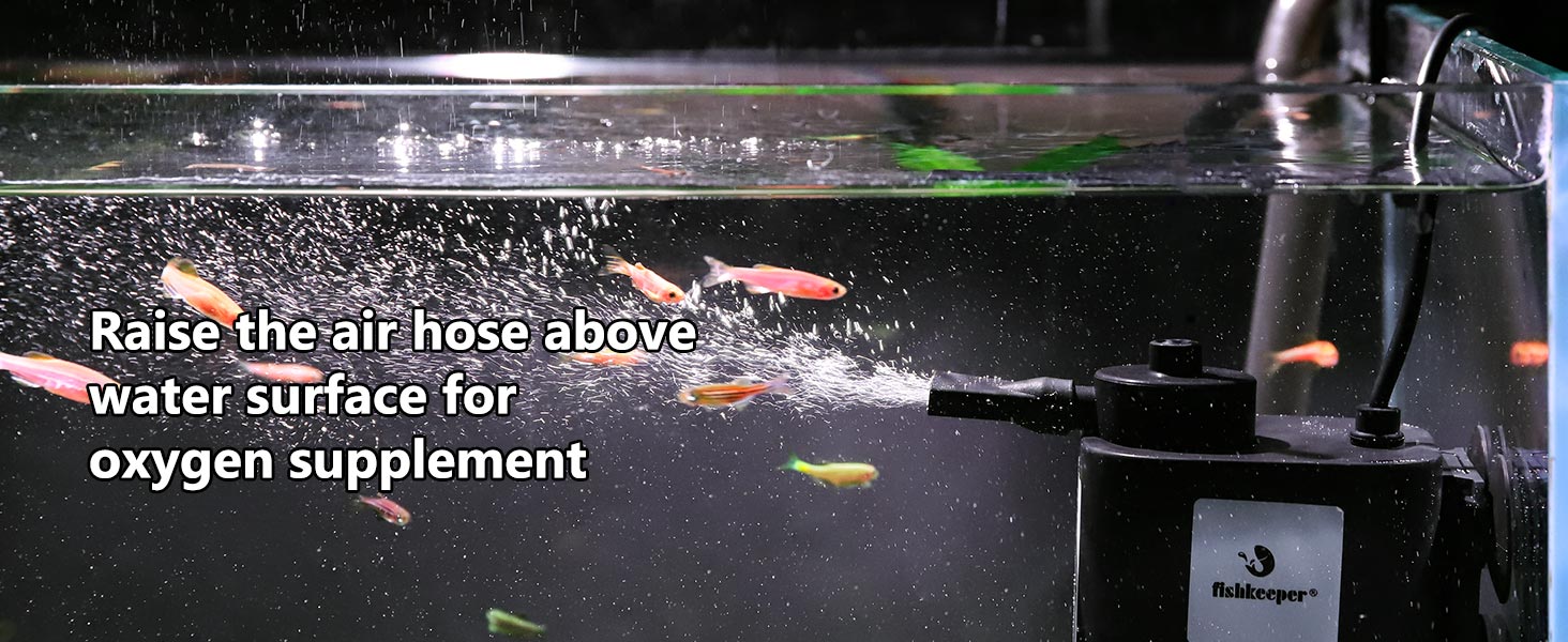 filter for fish tank