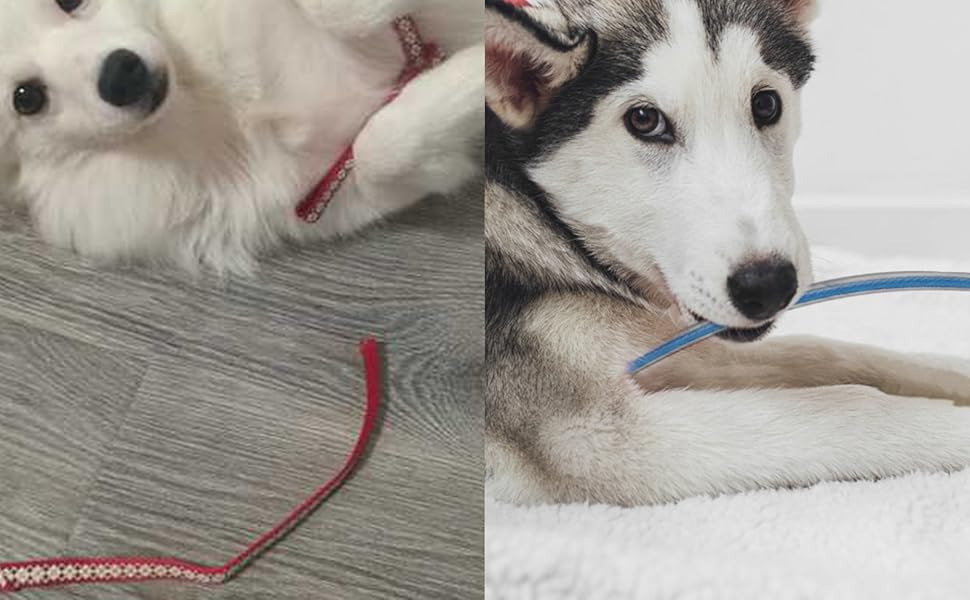 voopet ChewProof Dog Leash Extension Works with Any Leash