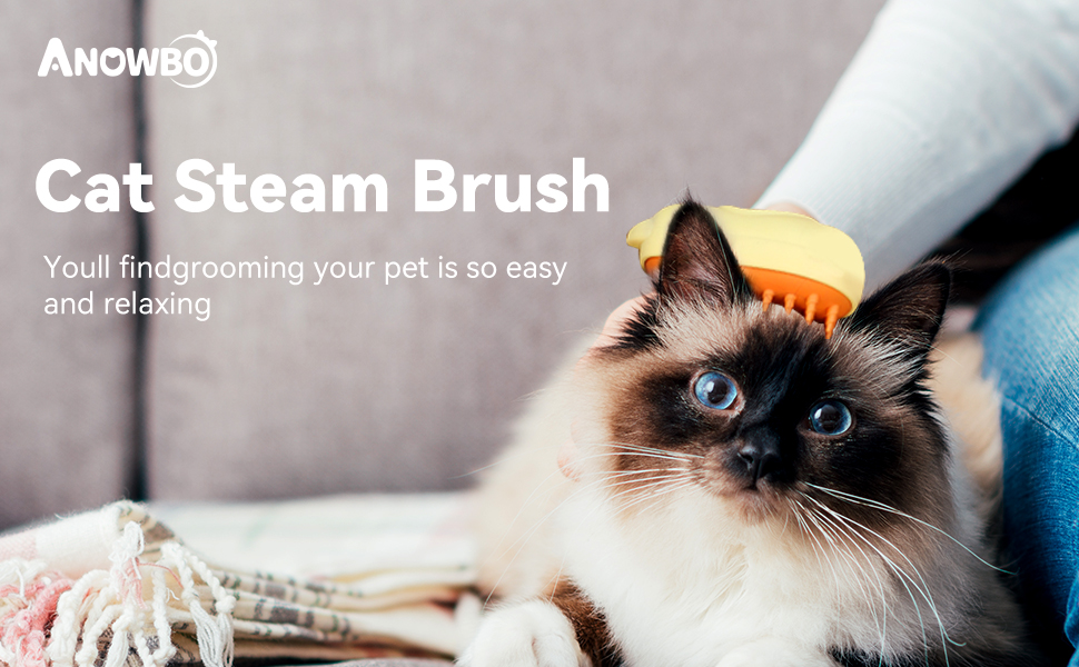 cat steam brush