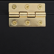 boxing glove display case