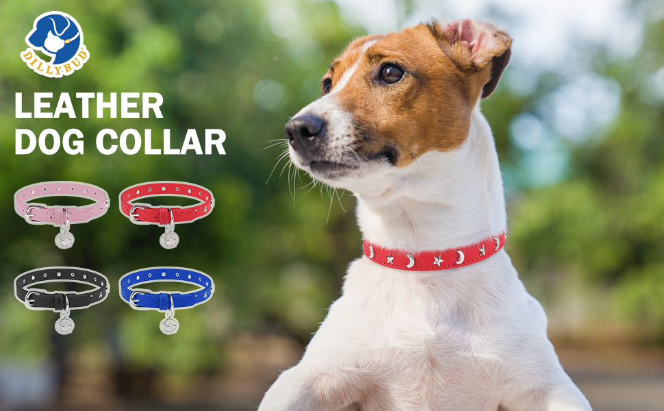 DILLYBUD Leather Dog Collar for Puppy Small Medium Dogs, Adjustable Star and Moon