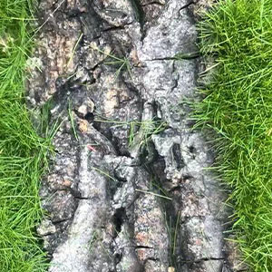 Reptile Cork Terrarium Background Decor Climbing Mat Habitat Fitting Bark Backdrop Wall Artificial