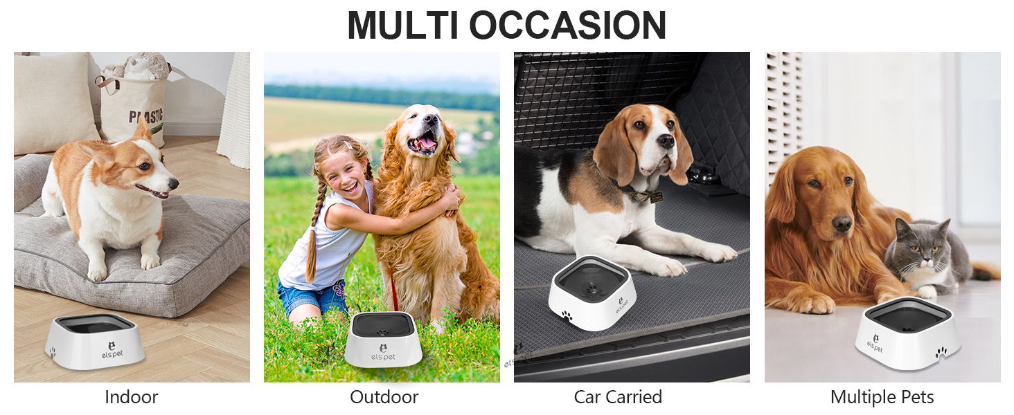 Composite image showing a pet camera in four scenarios: indoors with a corgi, outdoors with a child and golden retriever, in a car with a beagle, and with multiple pets including a golden retriever and cat.