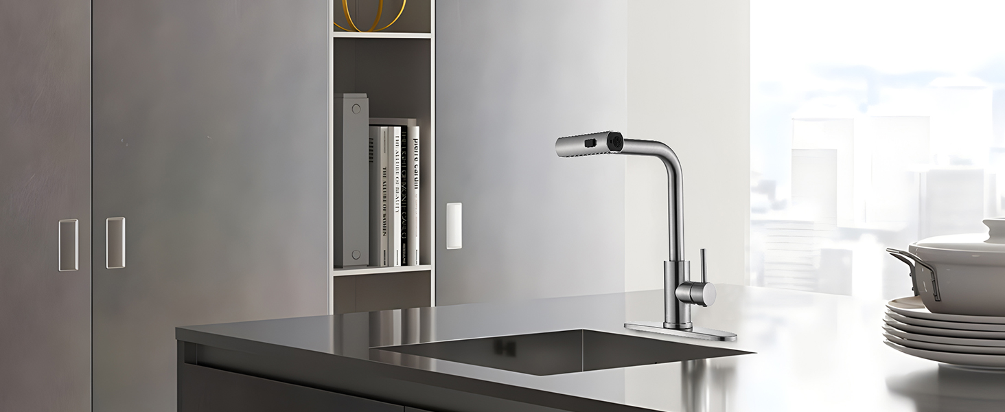 kitchen faucet with pull down sprayer
