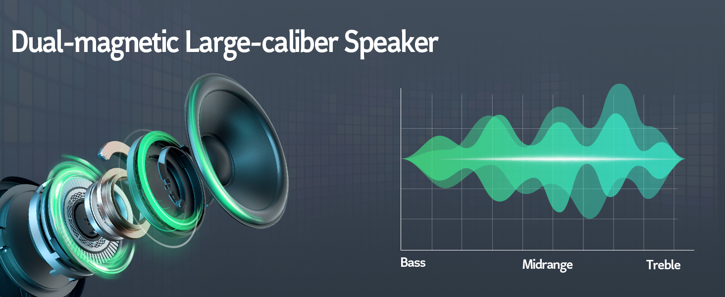 portable speaker with microphone