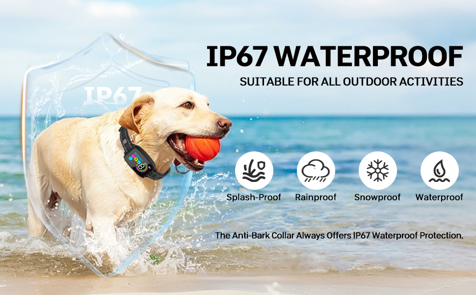 IP67 waterproof anti-bark collar on a yellow lab playing with a ball at the beach. Product icons show splash-proof, rainproof, snowproof, and waterproof features.