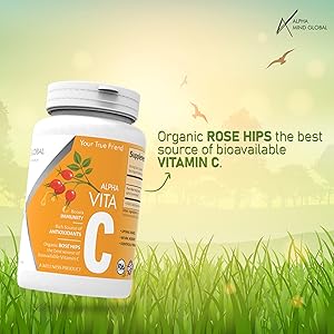 Small manufacture image 4