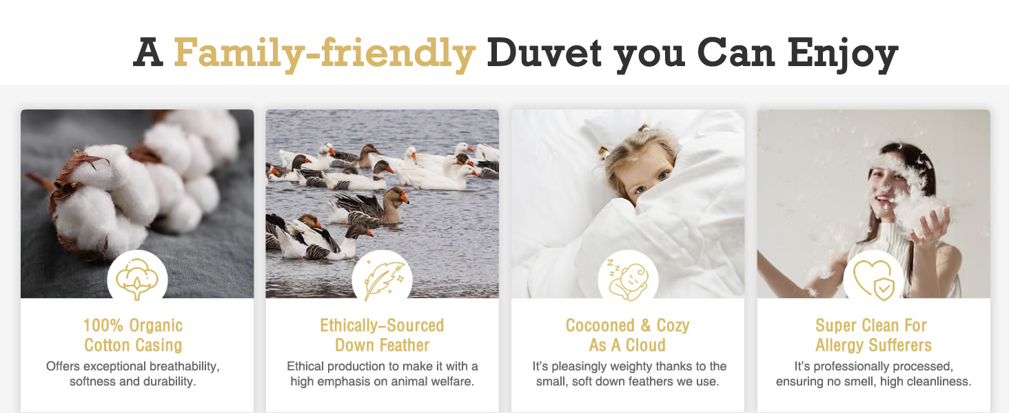 DWR Premium Feather Down Comforter Duvet 