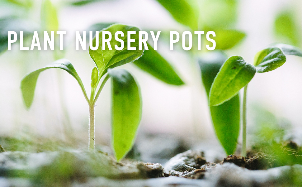 Nursery Pots with Humidity Dome