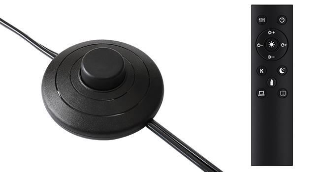 floor lamp with remote