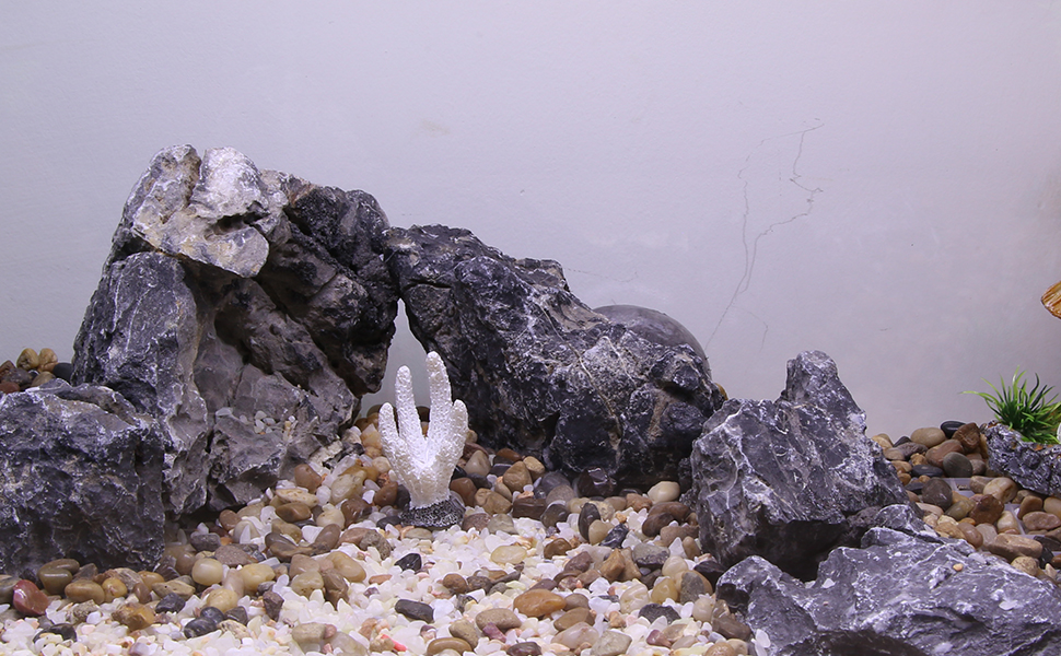 Coral Reef Decor