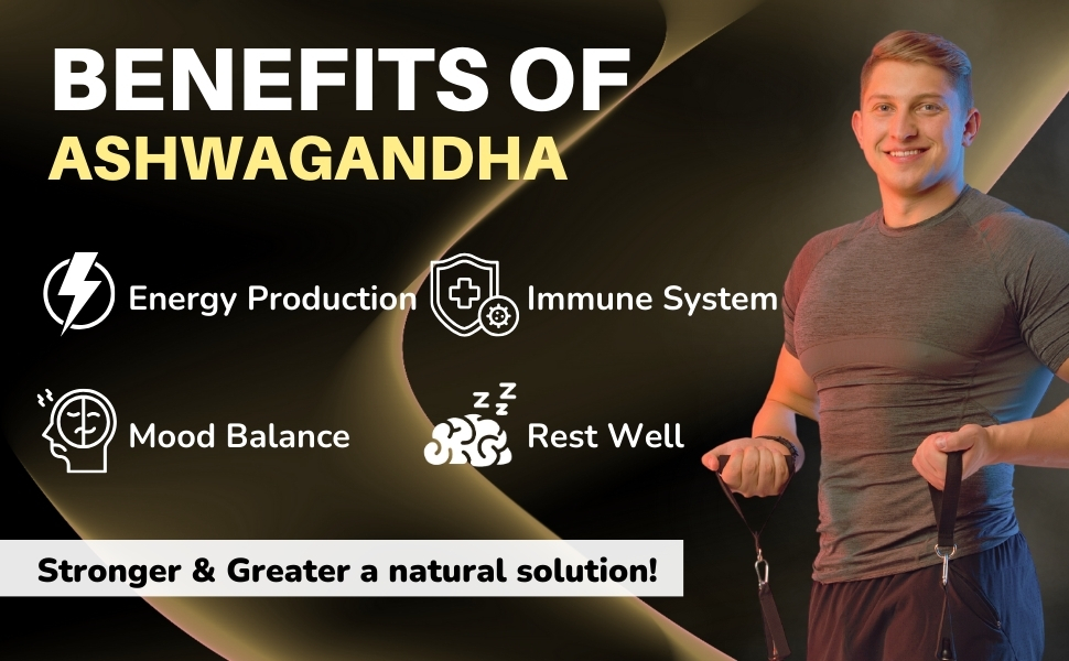 Ashwagandha Root Fenugreek  Maca Root Turmeric Root Rhodiola Rosea Root Ginger Root Black Pepper