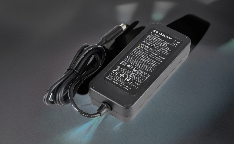 Amazon.com: Original Segway Ninebot 42V 1.7A 71W Battery