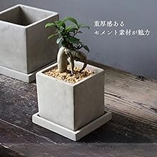 yt-yf 植木鉢　特注品 ytyf | STORES