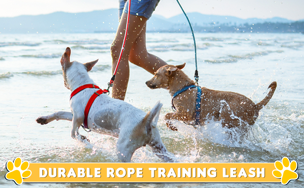Leash