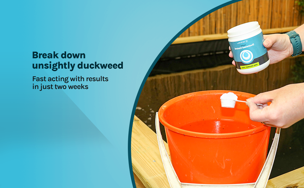 Swell Duckweed Control 500g Tub. Duckweed Treatment And Killer For