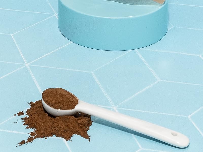 Porcini Powder on Spoon