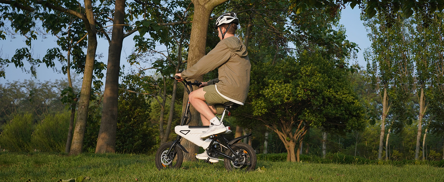 ebike
