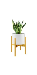Plant Stand