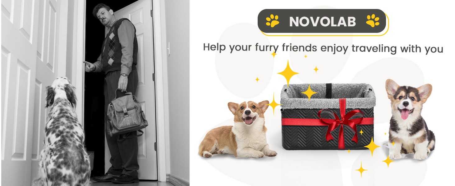 dog car booster seat