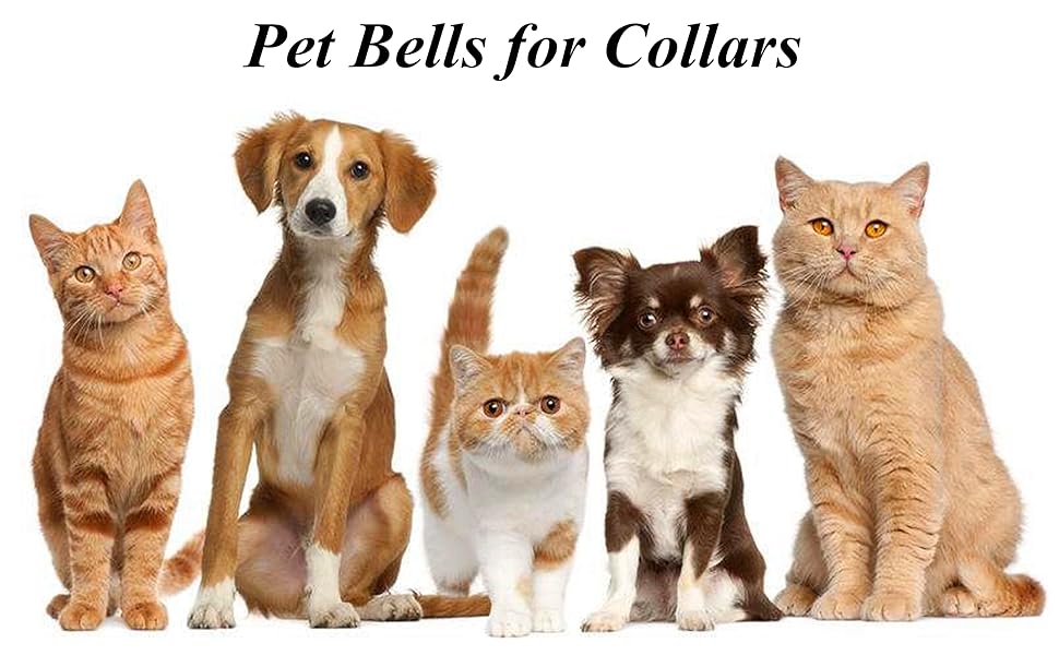 Hundehalsband mit Glöckchen