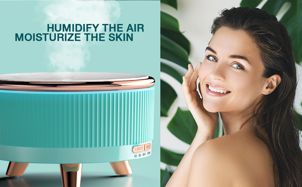 Humidify the Air Moisturize the Skin