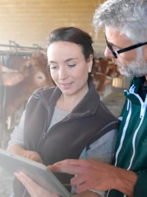 Trabajo directo con ganaderos
