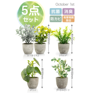 オーダーコメントページ フェイクグリーン 楽天市場】【SALE!1000円OFF⇒5998】RAKU フェイクグリーン 大型