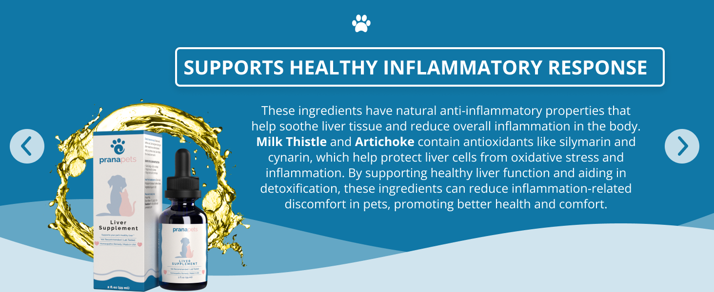 liver supplement reduces inflammation in dogs and cats natural liver supplement for pets