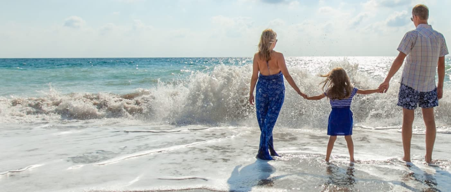 bioGo 12 White Biodegradable Sponges Eco Reusable