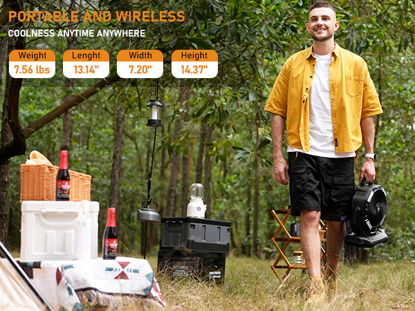 Portable and wireless