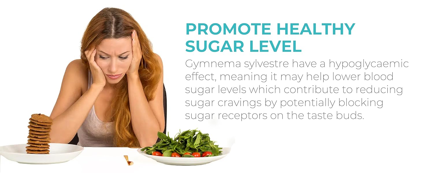 Gymnema Sylvestre Capsule 1000mg