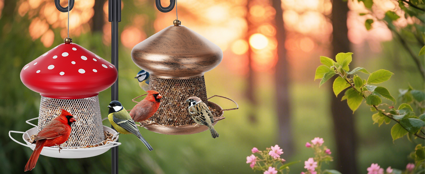 bird feeder