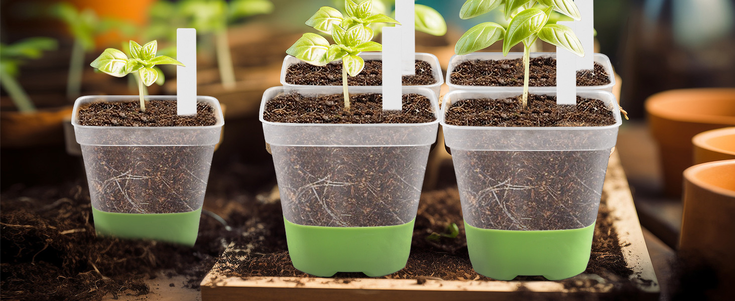 Suitable for seedlings indoors, outdoors, on the table, on the balcony.