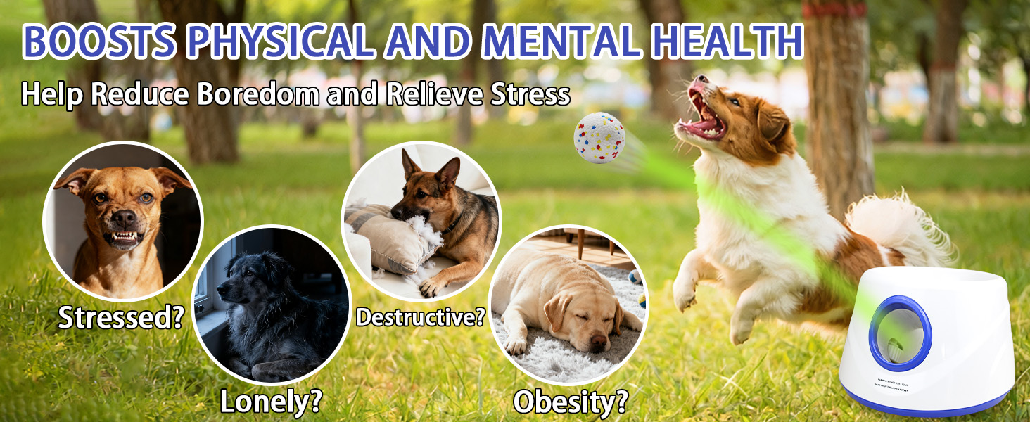 Automatic Dog Ball Launcher