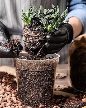 Nursery Pots