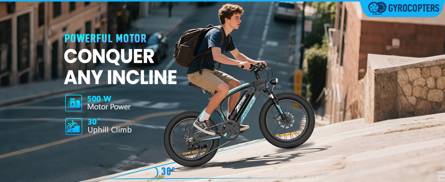 Zapphire Electric Bike
