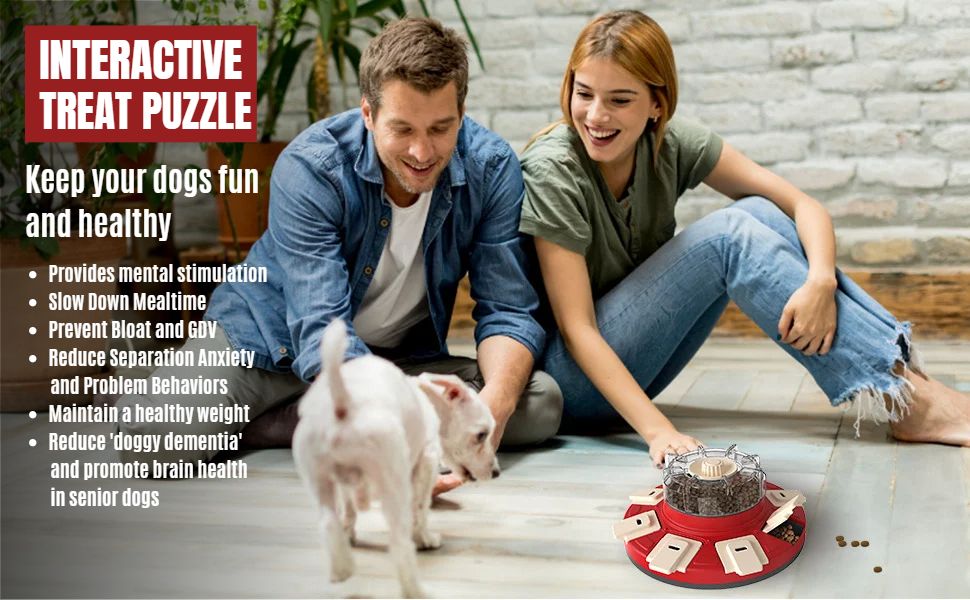 DUDULOVY Dog Puzzle Toys Level 2, Dog Slow Feeder, Puzzle