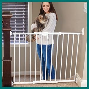 Nuth'N Nyce – Out The Gate Nuth'N Nyce – Out The Gate North States 26 In. to 42 In. W