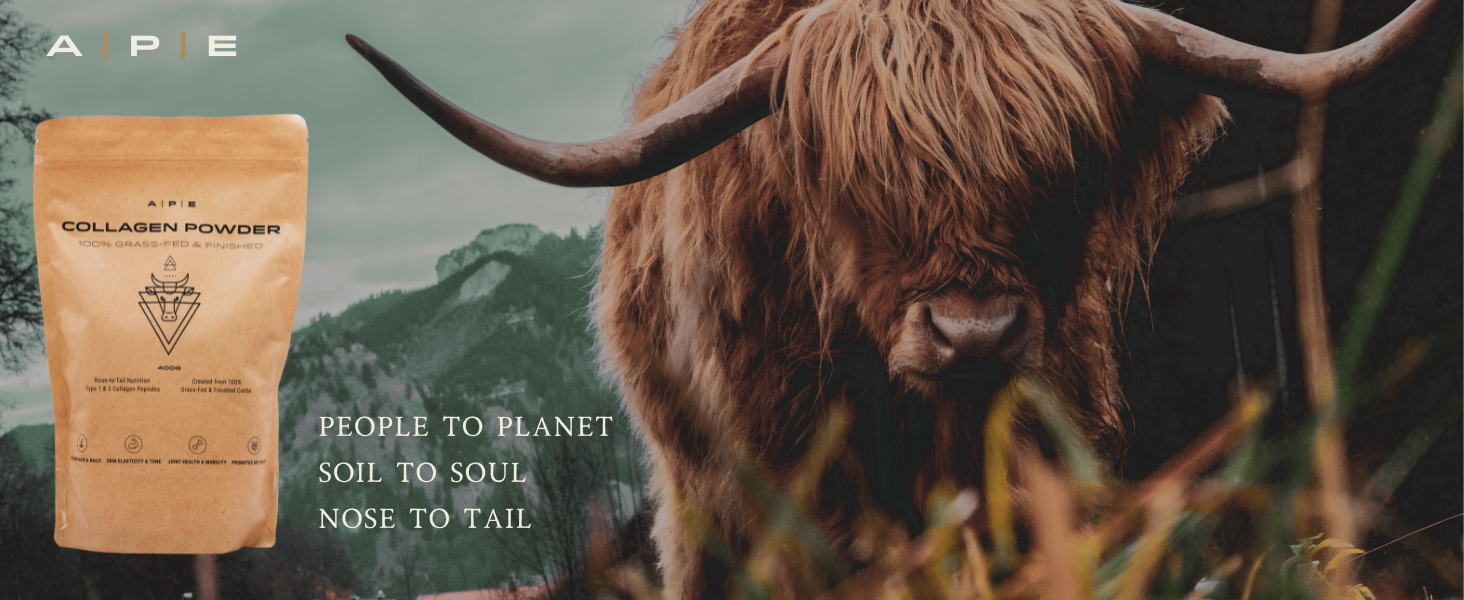 collagen powder natural grass fed finished nost to tail ancestral supplement gut protein