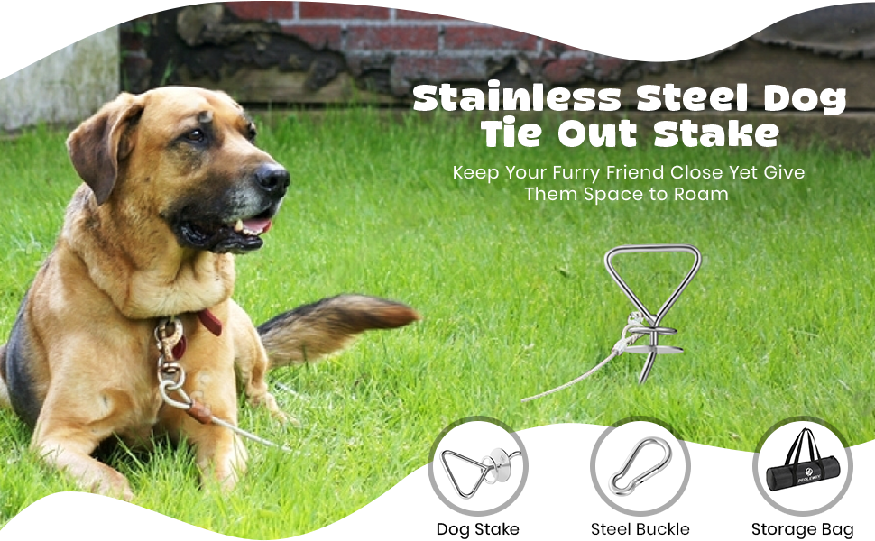 Peolewey Dog Tie Out Stake Heavy Duty Dog Stake for