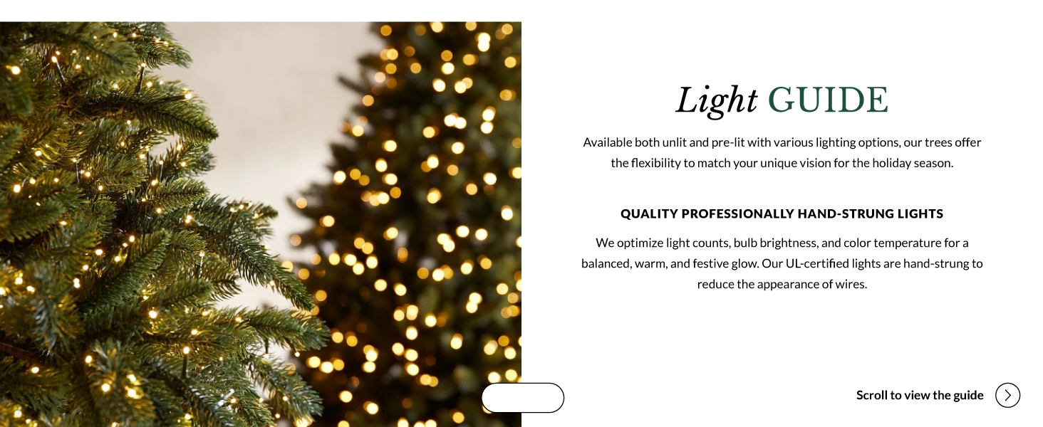 Balsam Hill BH Frosted Fraser Fir SnowCovered Artificial