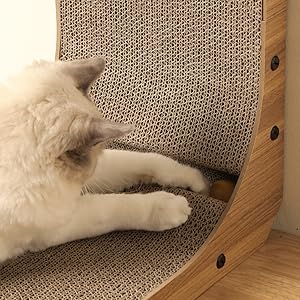 eine Katze, die mit einem Spielzeug spielt