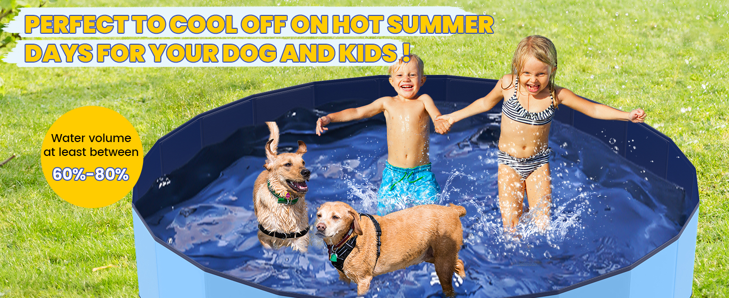 Pool for lager dogs and kids