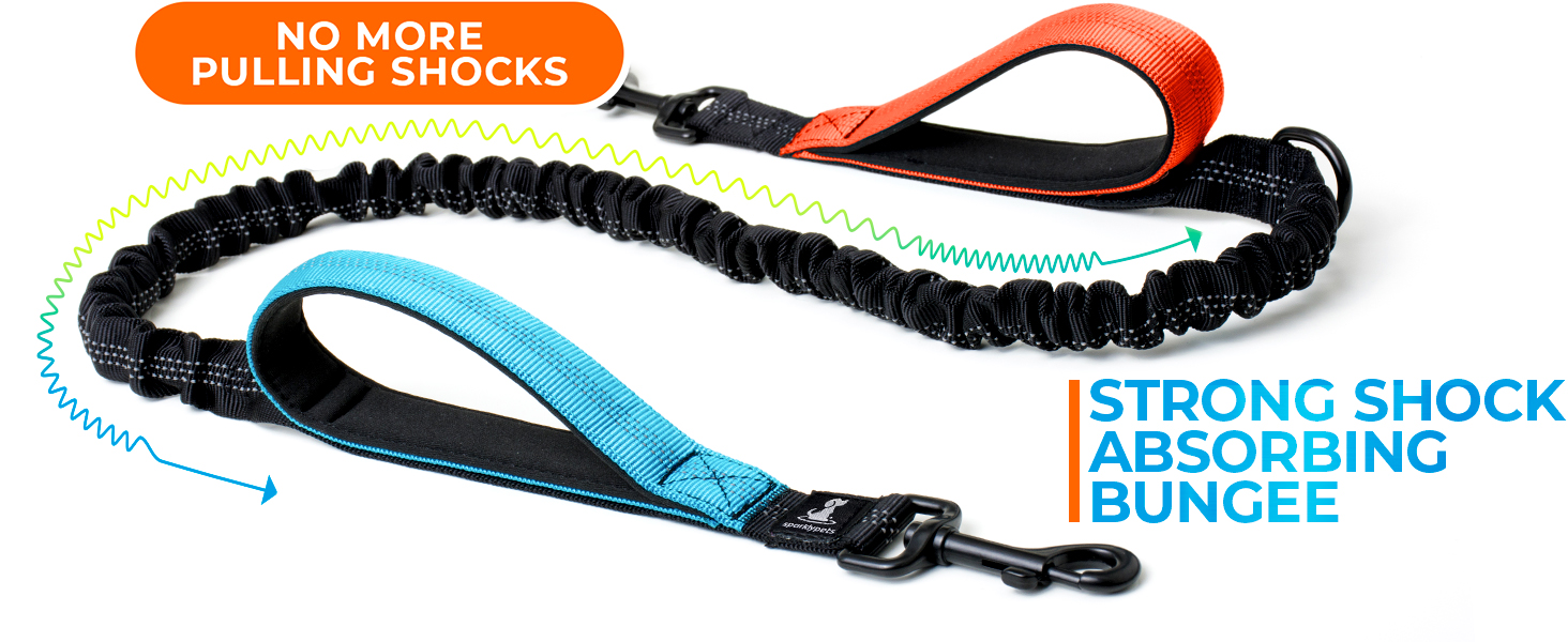 The SparklyPets Active Pack comes with a reinforces shock absorbing bungee