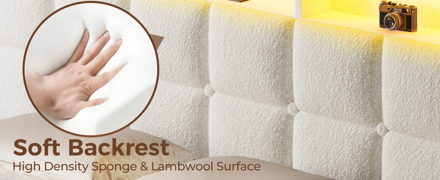 Rolanstar Twin Size Bed Frame with LED Lights and Charging