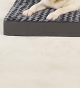 MIHIKK Large Orthopedic Dog Bed for Anxiety, Removable Washable Cover, Waterproof, 35x22 Inch, Gray  
MIHIKK Large Egg C 4d18fba4 8c8e 45f0 9a67 B0d601d40846. CR0,1,166,182 PT0 SX166 V1
